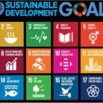 Frontiers | The Development of a Sustainability-Oriented Creativity ...