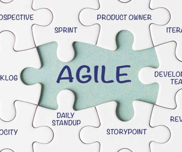 Agile Raci